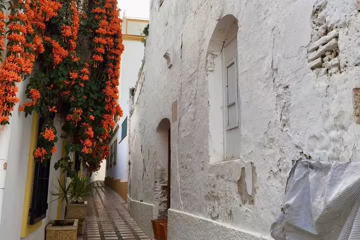 Charming narrow street in Marbella Old Town adorned with vibrant orange flowers and whitewashed walls.