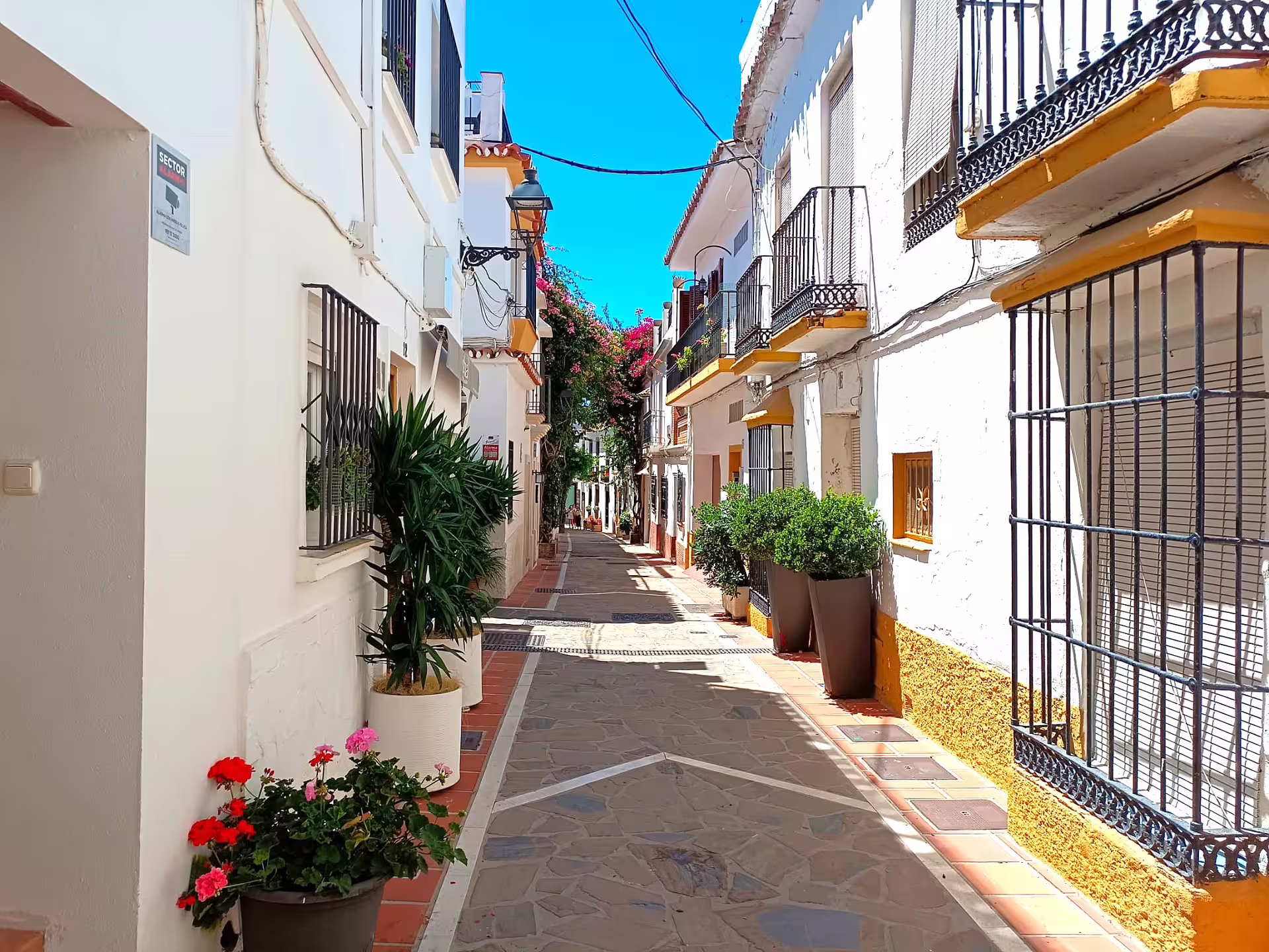 Charming Marbella Old Town street with whitewashed houses, balconies and flowers on a private day trip with pickup