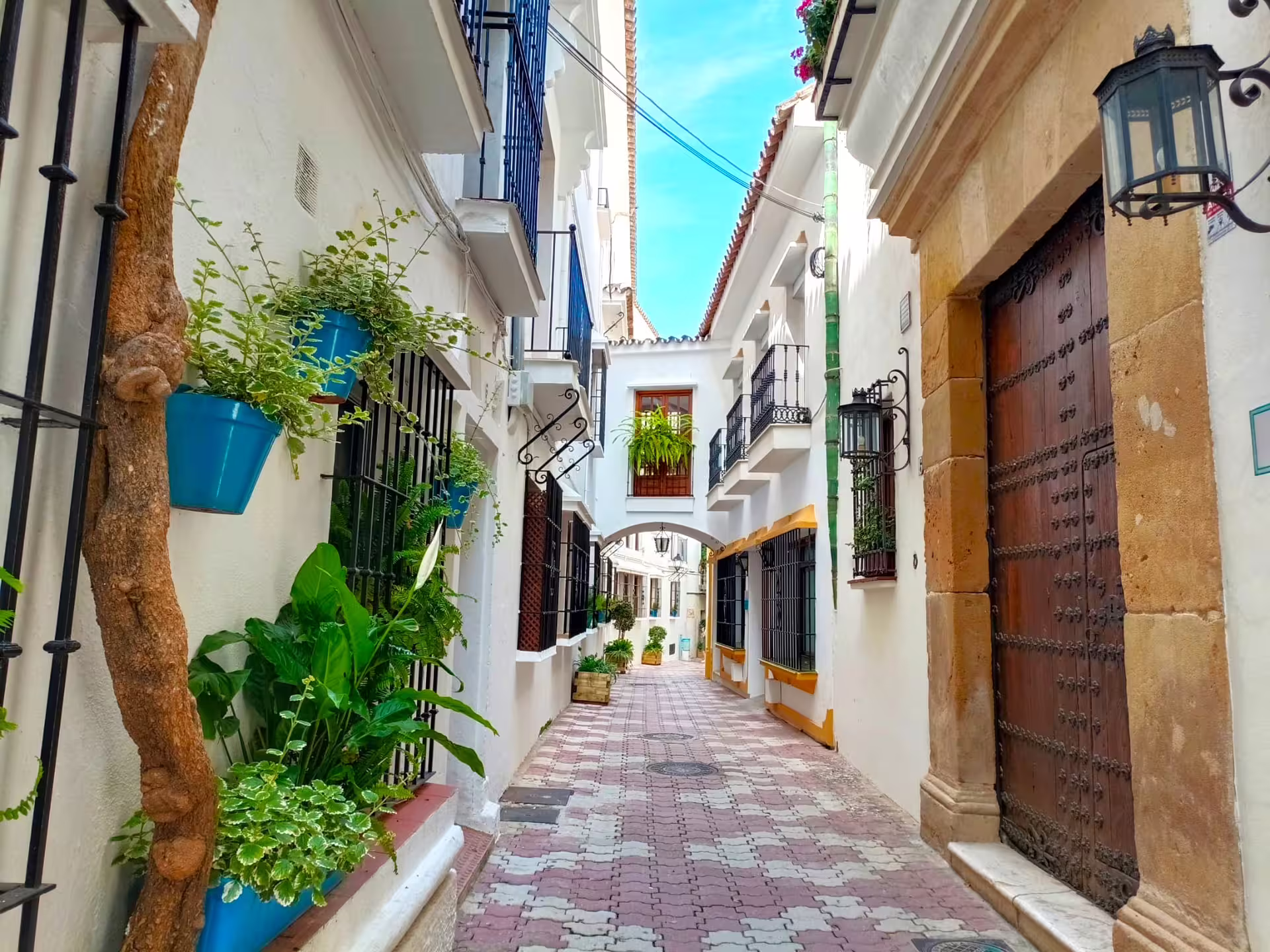 Charming Marbella Old Town alley with whitewashed houses and blue flower pots on a private guided day trip