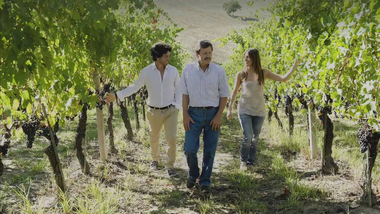 Tourists exploring Vicari Vini's lush vineyard, experiencing the authentic winemaking heritage of Marche region.