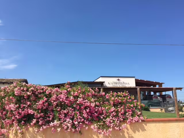 Marchesi de Cordano winery exterior with blooming roses, Abruzzo wine tasting tour near Loreto Aprutino