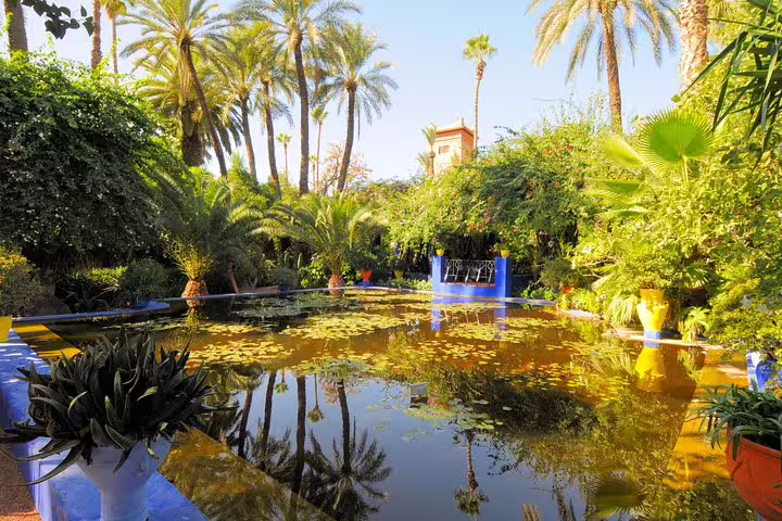 Majorelle Garden-style oasis in Marrakech with lily pond and palms, highlight on 8-day desert tour