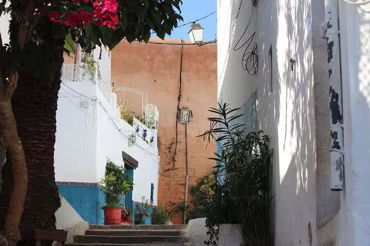 White-and-blue coastal alley with bougainvillea, a scenic stop on the Marrakech Atlantic Ocean tour