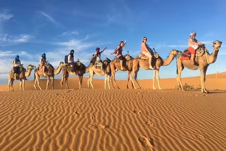 Camel caravan on golden dunes during private 2-day Marrakech to Zagora desert tour with Sahara camel trek