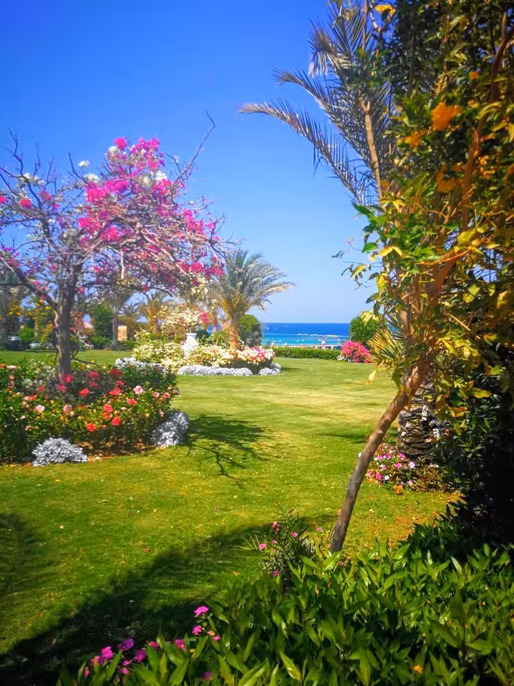 Lush gardens with vibrant flowers overlooking the Red Sea in Marsa Alam, Egypt, ideal for a serene vacation.