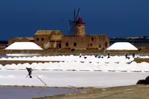 Marsala salt flats and windmill with white salt piles, Palermo excursion featuring salt, olive oil and wine