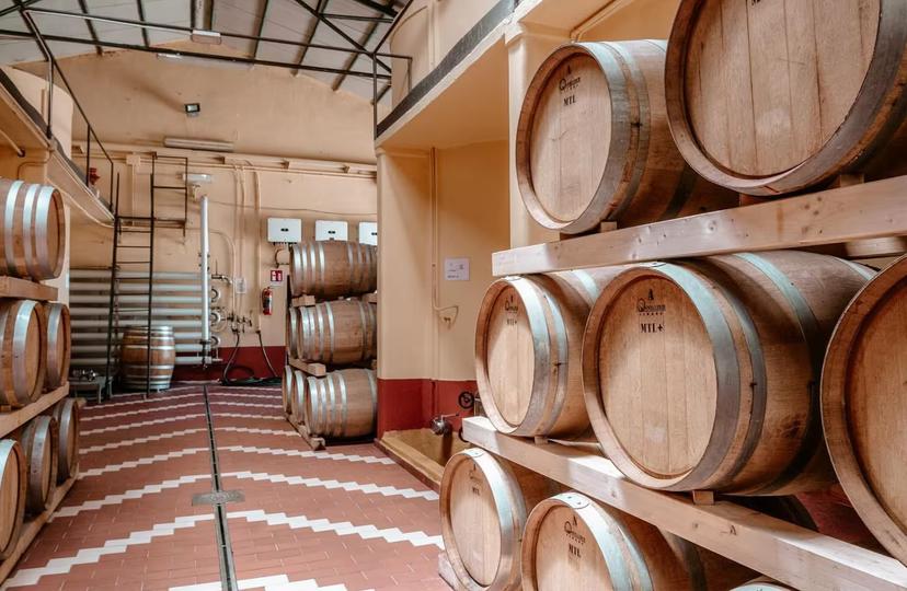Rows of oak barrels in a Marsala winery cellar, showcasing traditional wine aging in an authentic setting.