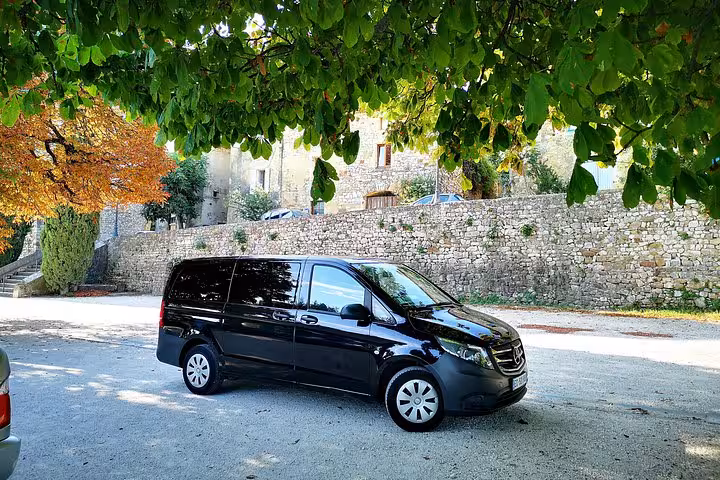 Black minivan for Marseille Airport transfer to cruise port parked under trees, ideal private group shuttle service