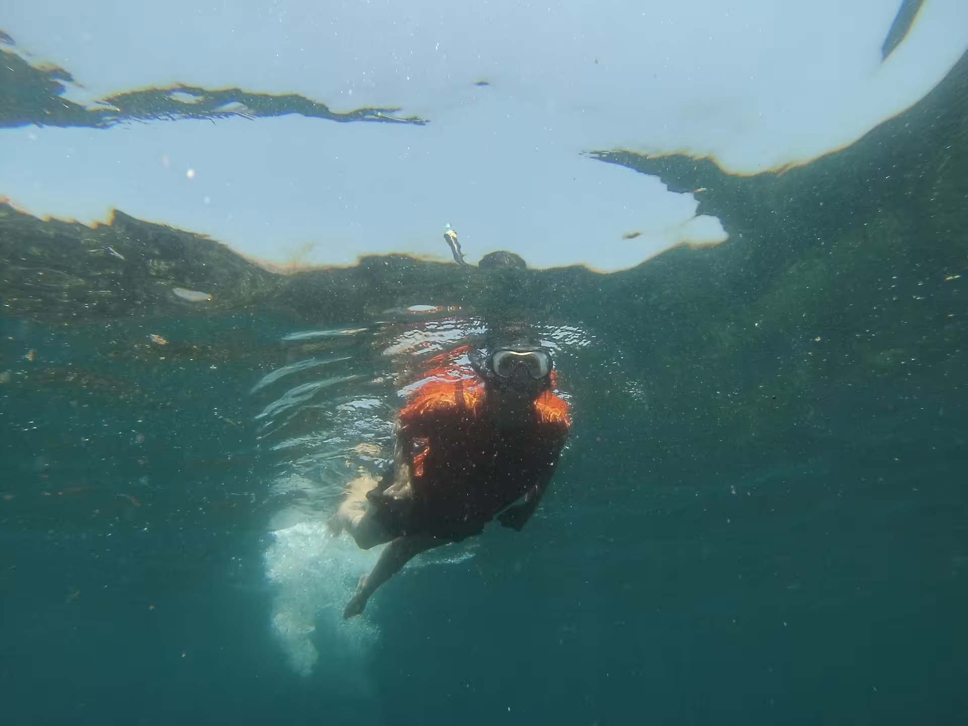 Snorkeling stop on Marseille Calanques kayak tour, swimmer with mask exploring clear Mediterranean waters