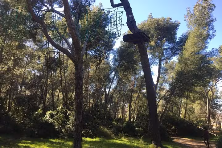 Shaded pine forest trail in Calanques National Park on a Marseille panoramic hiking tour