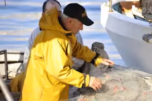 Marseille fisherman in yellow raincoat mending nets at the harbor, highlighting fresh seafood on a food tour
