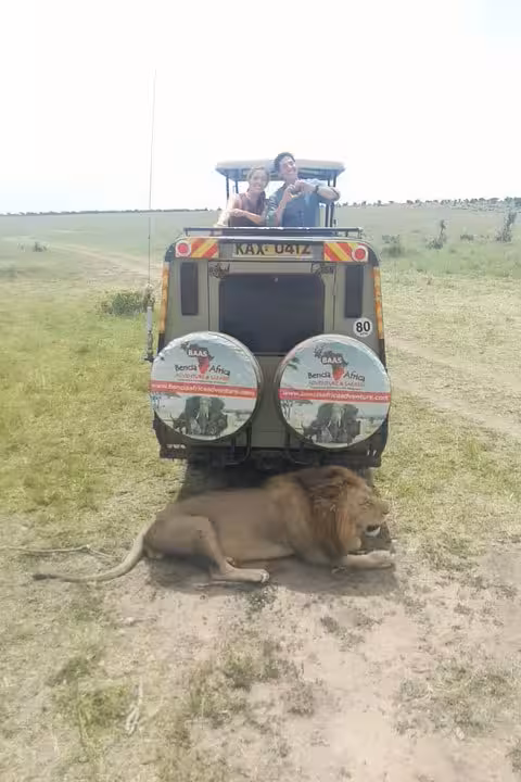 Tourists in safari vehicle observing a lion in Masai Mara on a 3-day safari adventure.