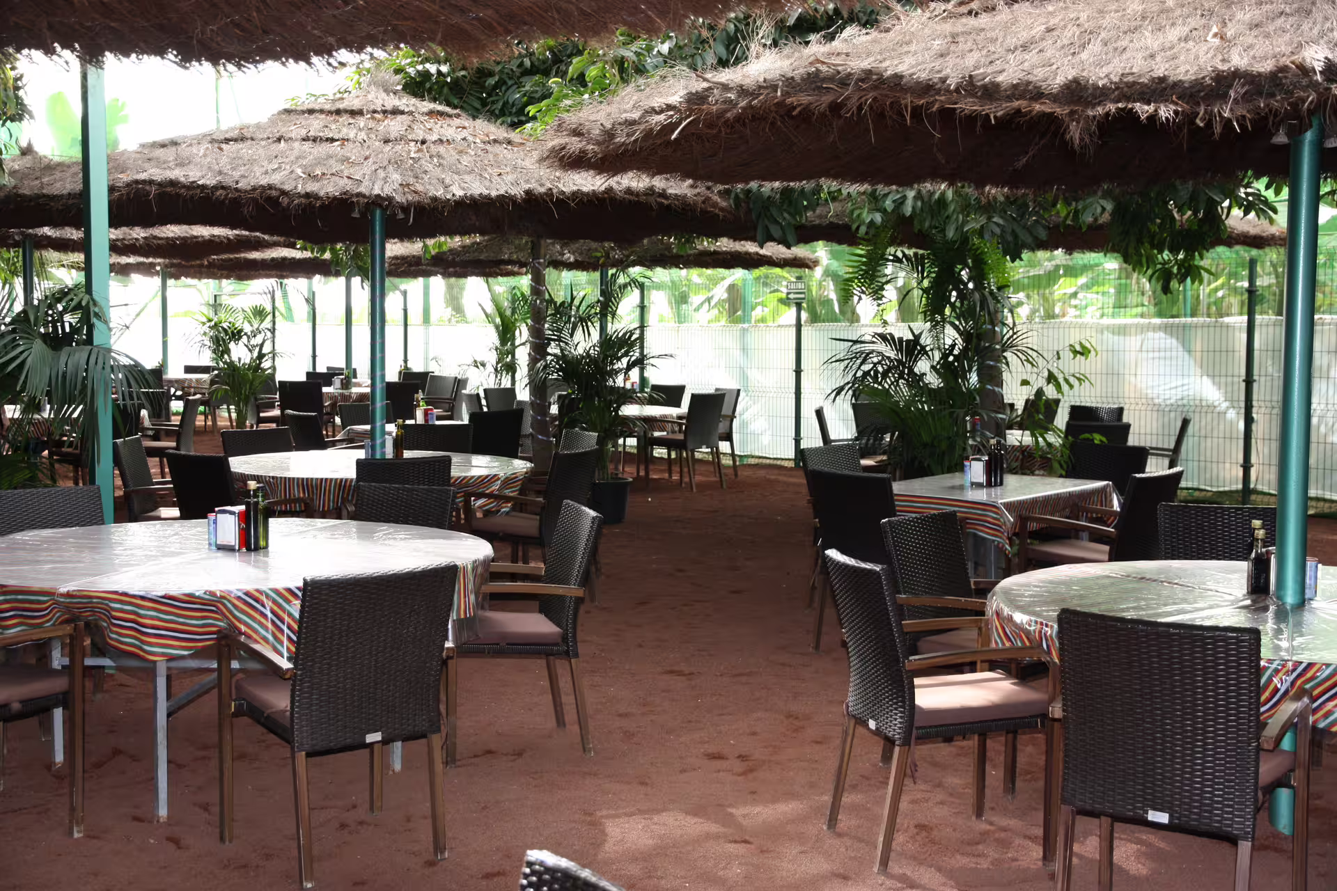 Outdoor dining space with straw-roofed umbrellas and tropical plants at Masca Gastro Tour.