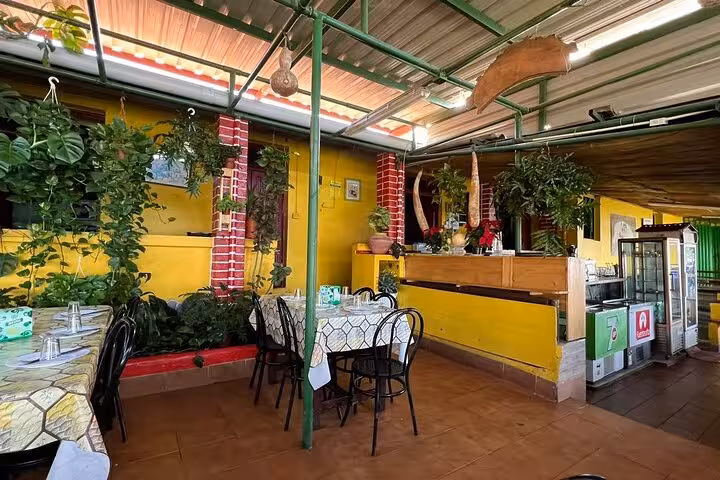 Charming Masca restaurant with lush greenery and rustic decor, perfect for a cultural and culinary experience in Tenerife.