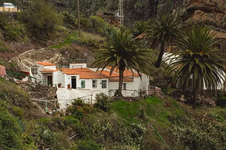 Traditional white house surrounded by lush greenery and palm trees in Masca, Tenerife.