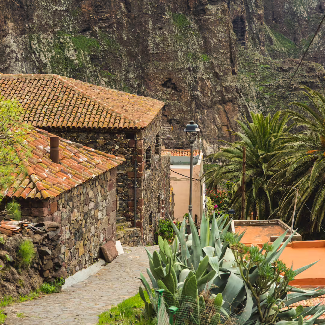 Discover rustic stone houses and lush greenery in Masca Village, Tenerife, a highlight of the Masca Gastro Tour.