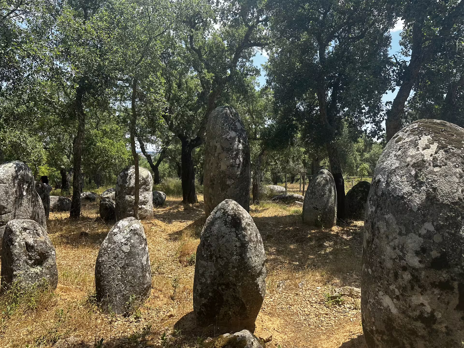 Megalithic stones in a wooded area near Évora, perfect for exploring Portugal's ancient and mysterious past.