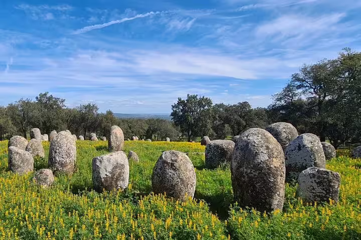 Discover a stunning field of standing stones amid vibrant wildflowers on our megalithic tour with included lunch.