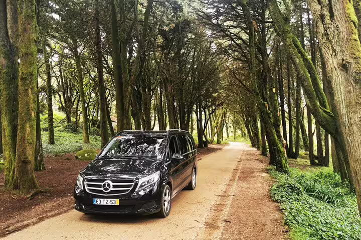Luxurious black Mercedes van on a scenic forest road in Sintra, perfect for a half-day sightseeing tour from Lisbon.