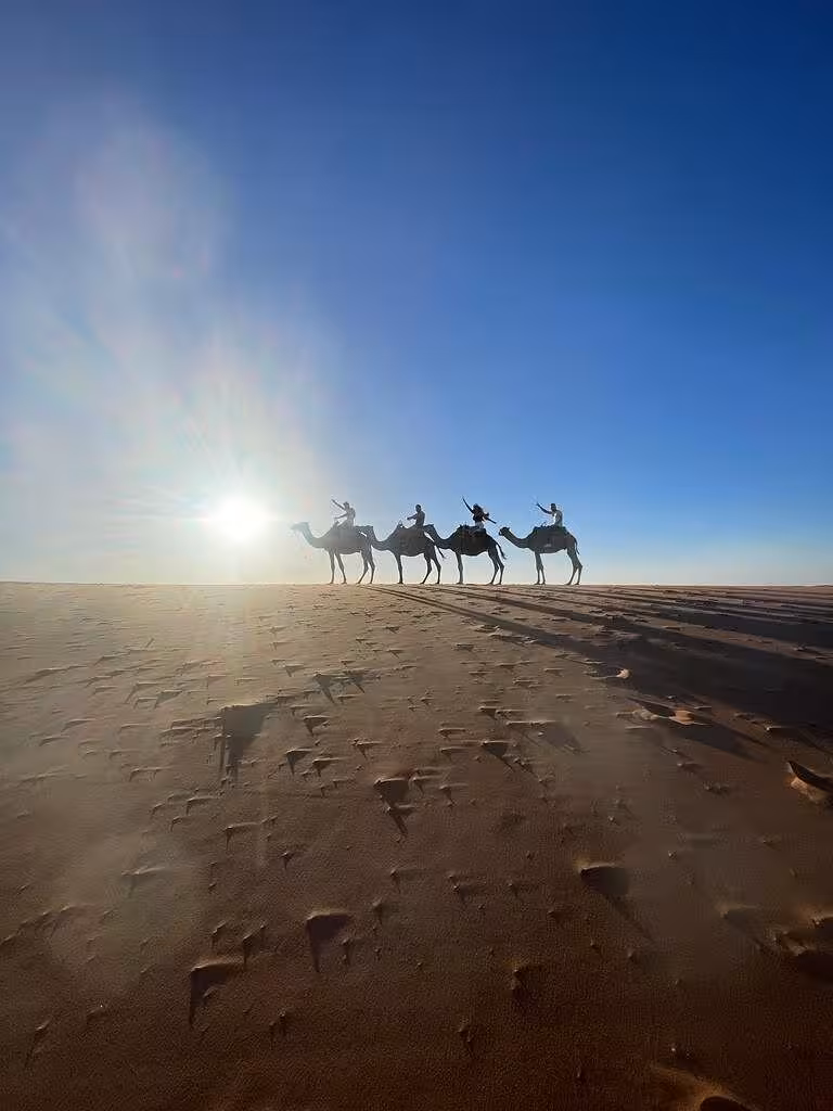 Camel caravan silhouetted against the sunrise on the dunes of Merzouga Erg Chebbi during luxury desert tour.