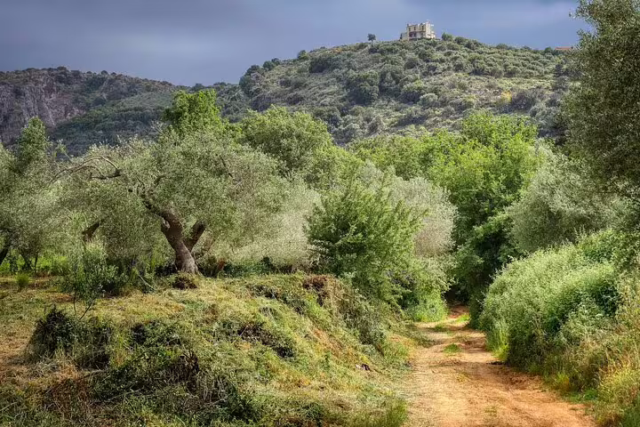 Rustic trail winding through verdant olive groves with a hilltop view in Meskla.