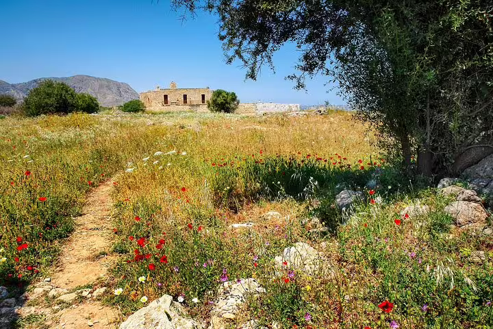 Scenic path through wildflower fields leading to an ancient building in Meskla's lush landscape.