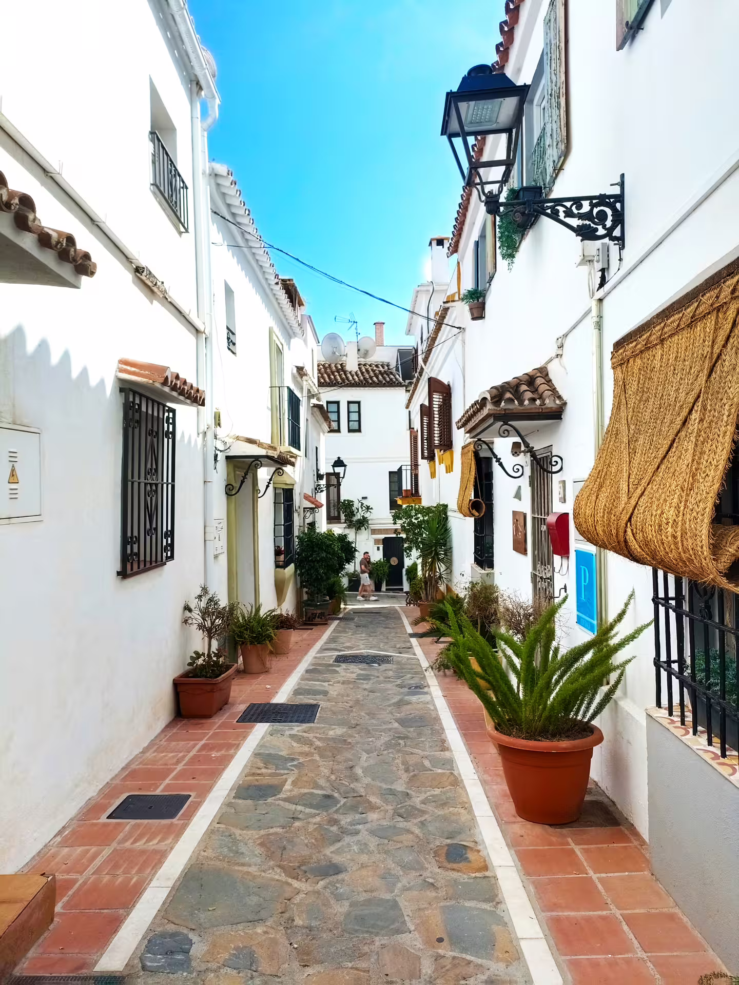 Quiet Mijas Pueblo alley with whitewashed houses and potted plants on Marbella and Mijas private day trip