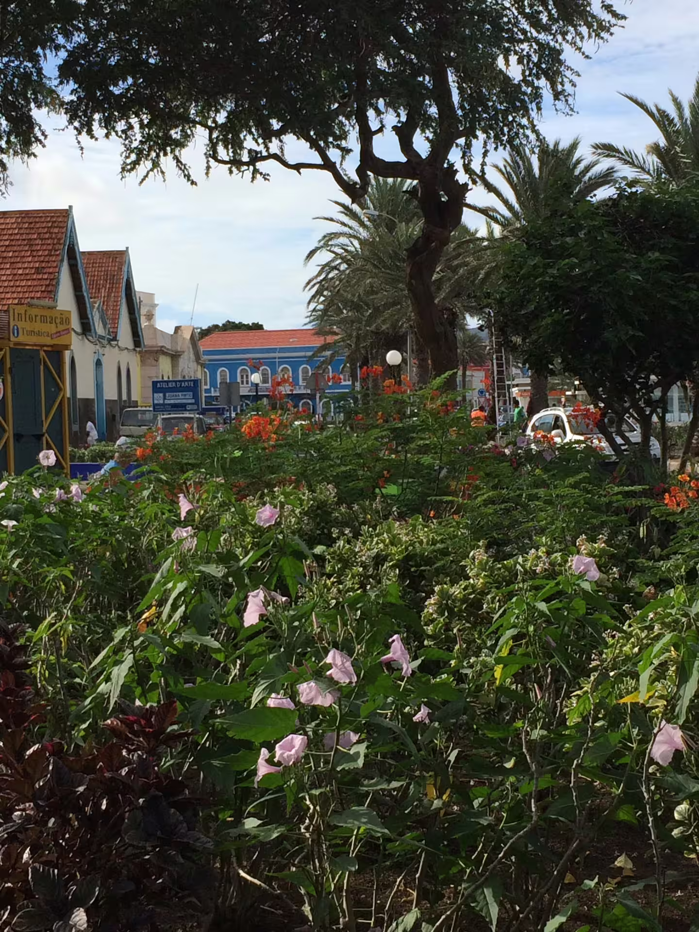 Lush garden view with vibrant flowers and historic architecture in Mindelo, perfect for a scenic city walking tour experience.