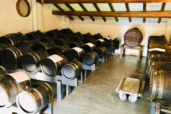 Traditional acetaia in Modena with rows of aging wooden barrels used for authentic balsamic vinegar tasting on private tour