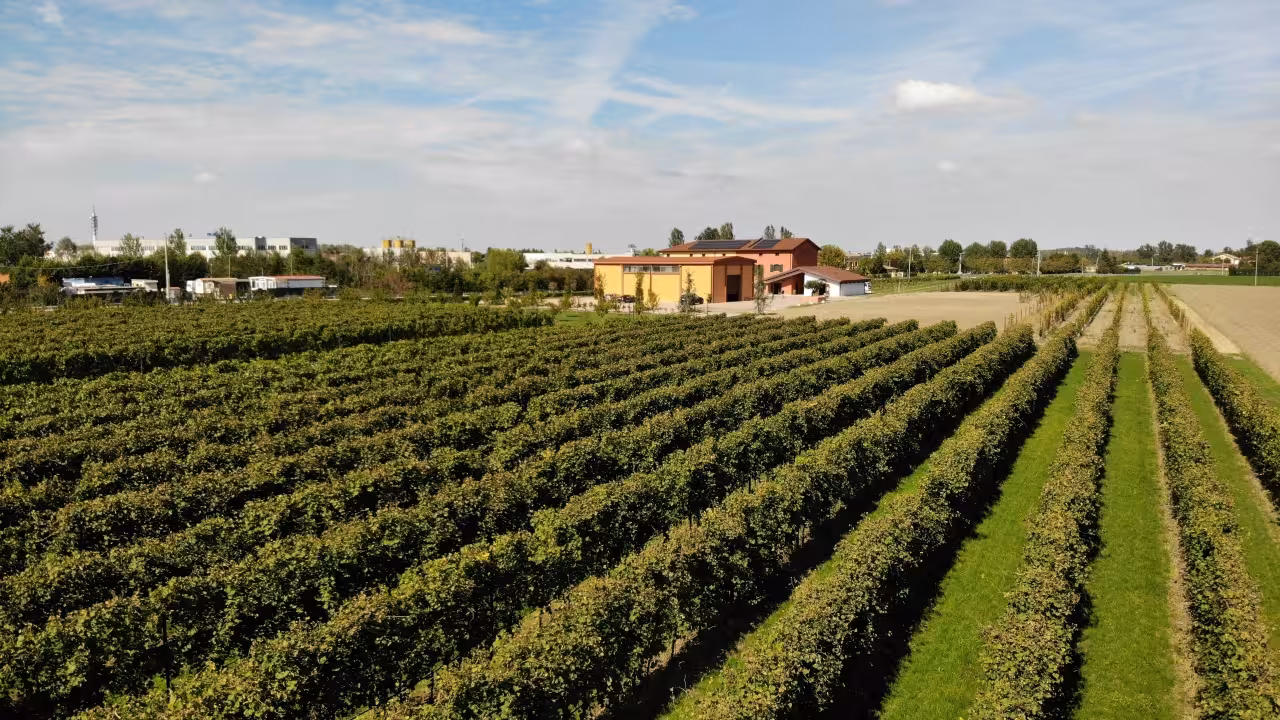 Vineyards and acetaia estate near Modena, source of grapes for traditional balsamic vinegar tour and tasting