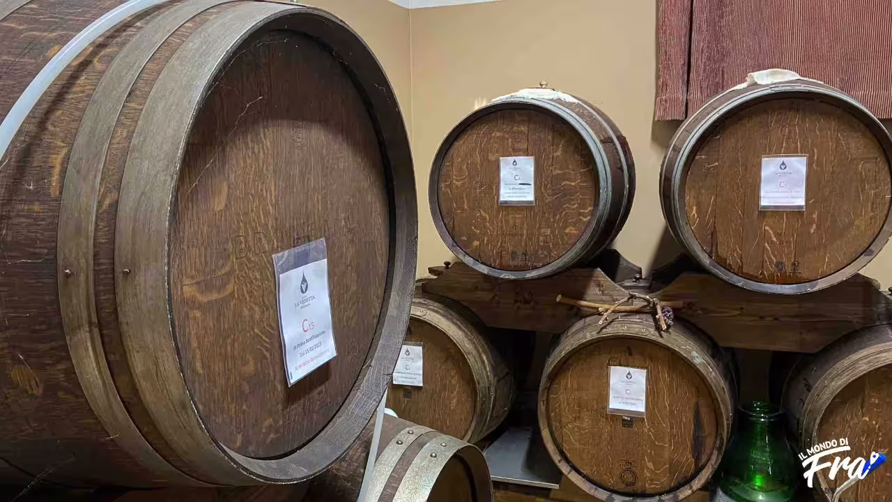 Wooden barrels in a Modena acetaia vinegar cellar where traditional balsamic vinegar is aged for tasting