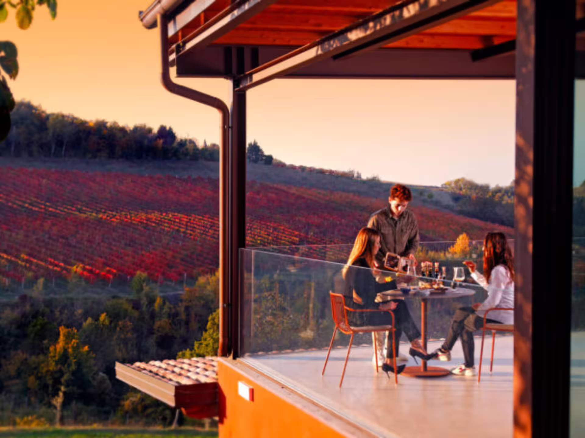 Guests enjoy Modena balsamic vinegar tasting on scenic terrace overlooking Emilia-Romagna vineyards at sunset