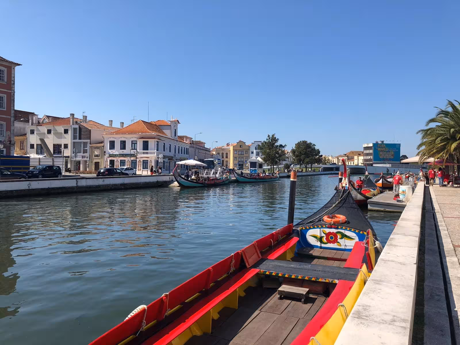 Colorful moliceiro boats on Aveiro canal, stop on Porto day tour with Costa Nova and Arouca highlights