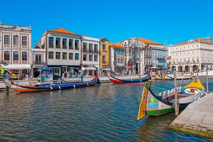 Vibrant moliceiro boats lined up on Aveiro's picturesque canal under a bright blue sky on a day tour from Porto.