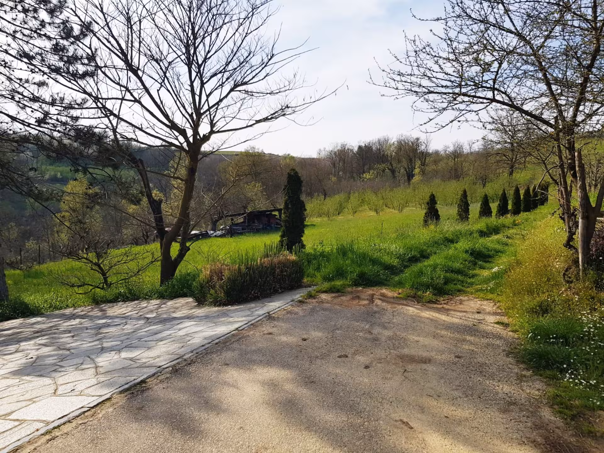 Scenic view of Monferrato countryside, ideal for a beekeeping tour and honey tasting experience.