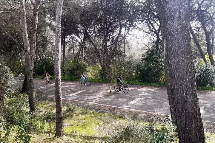 Cyclists enjoy a scenic ride through lush forest trails on the Monsanto Vintage Bike Tour, perfect for nature and adventure lovers.