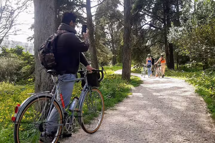 Cyclists explore scenic forest trails on the Monsanto Vintage Bike Tour, capturing moments in lush greenery and serene nature.