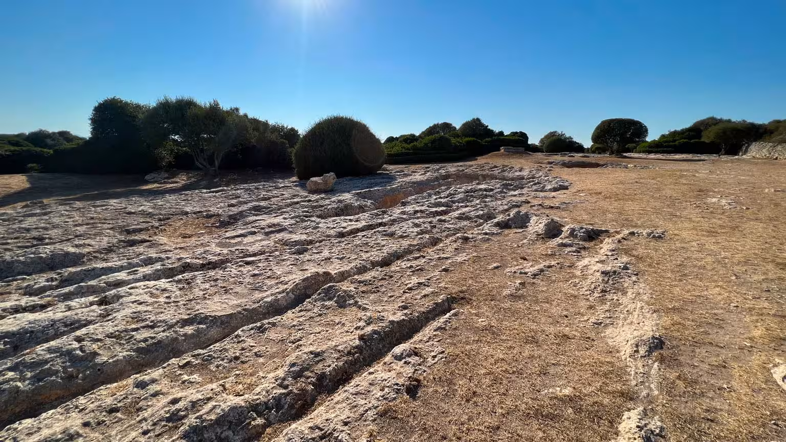 Expansive archaeological site at Monte d'Accoddi with weathered stone formations and scattered trees under bright sunlight.