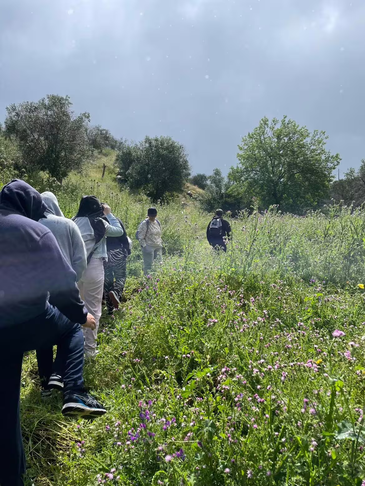 Group of hikers walking through lush greenery on Montemor-o-Novo trail under a cloudy sky.