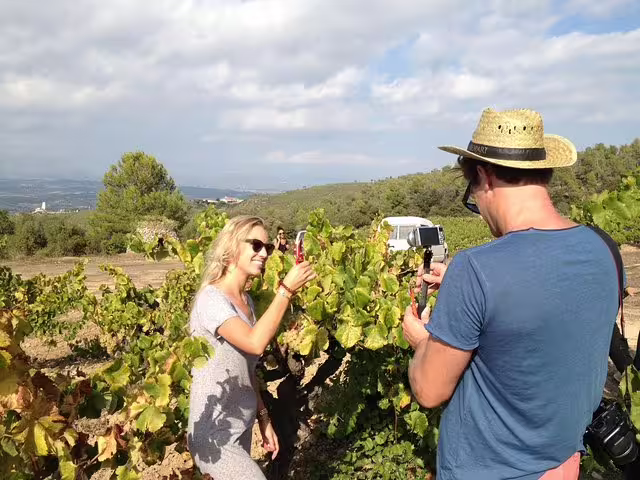 Tourists enjoying wine tasting amidst lush vineyards during a Montserrat private tour and Penedes winery lunch experience.
