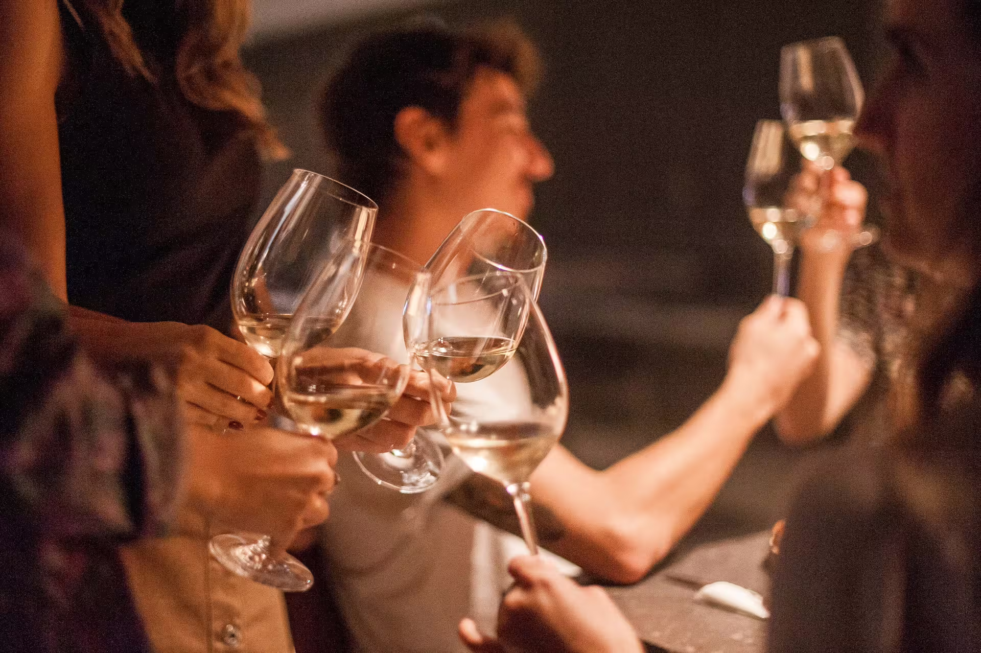 Group toasting with wine glasses during the Montserrat tapas and wine tour, highlighting a social and culinary experience.