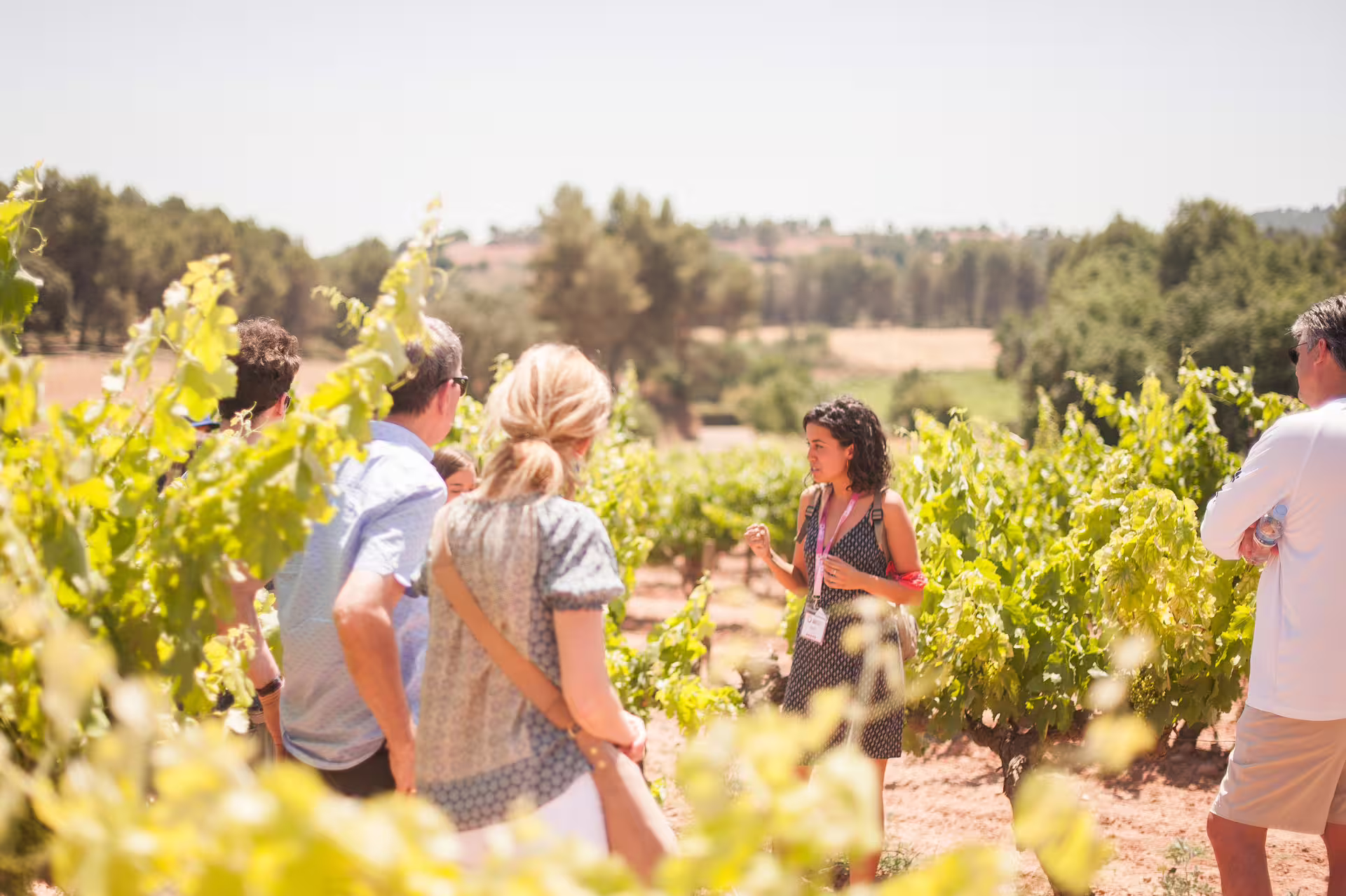 Tourists enjoy a guided vineyard tour in Montserrat, experiencing local wine and cuisine on a sunny afternoon adventure.