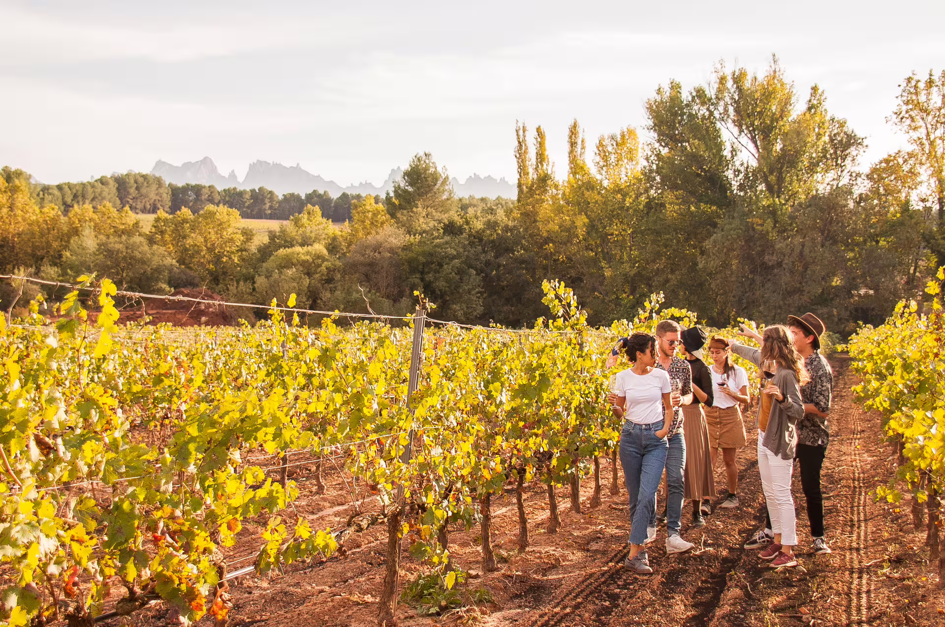 Tourists exploring lush Montserrat vineyard, enjoying wine tasting amid scenic landscapes.