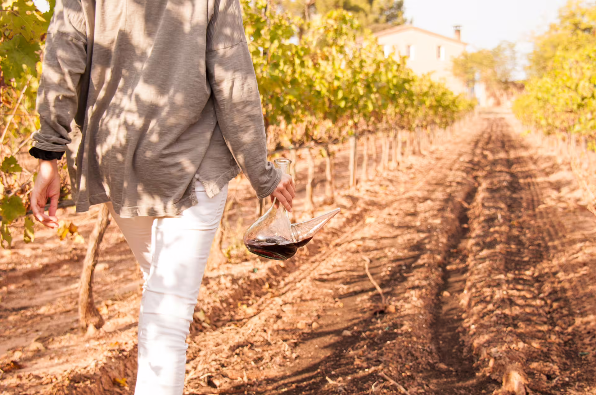 Person walking through Montserrat vineyard with decanter, highlighting wine tour experience.