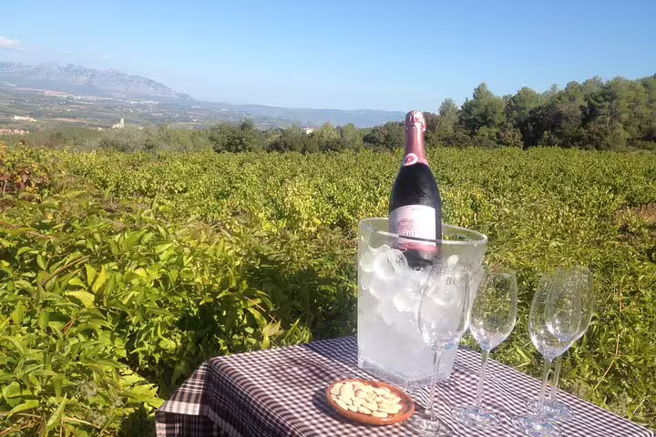 Scenic vineyard view with a chilled bottle of rosé, glasses, and almonds, highlighting the Montserrat winery tour experience.