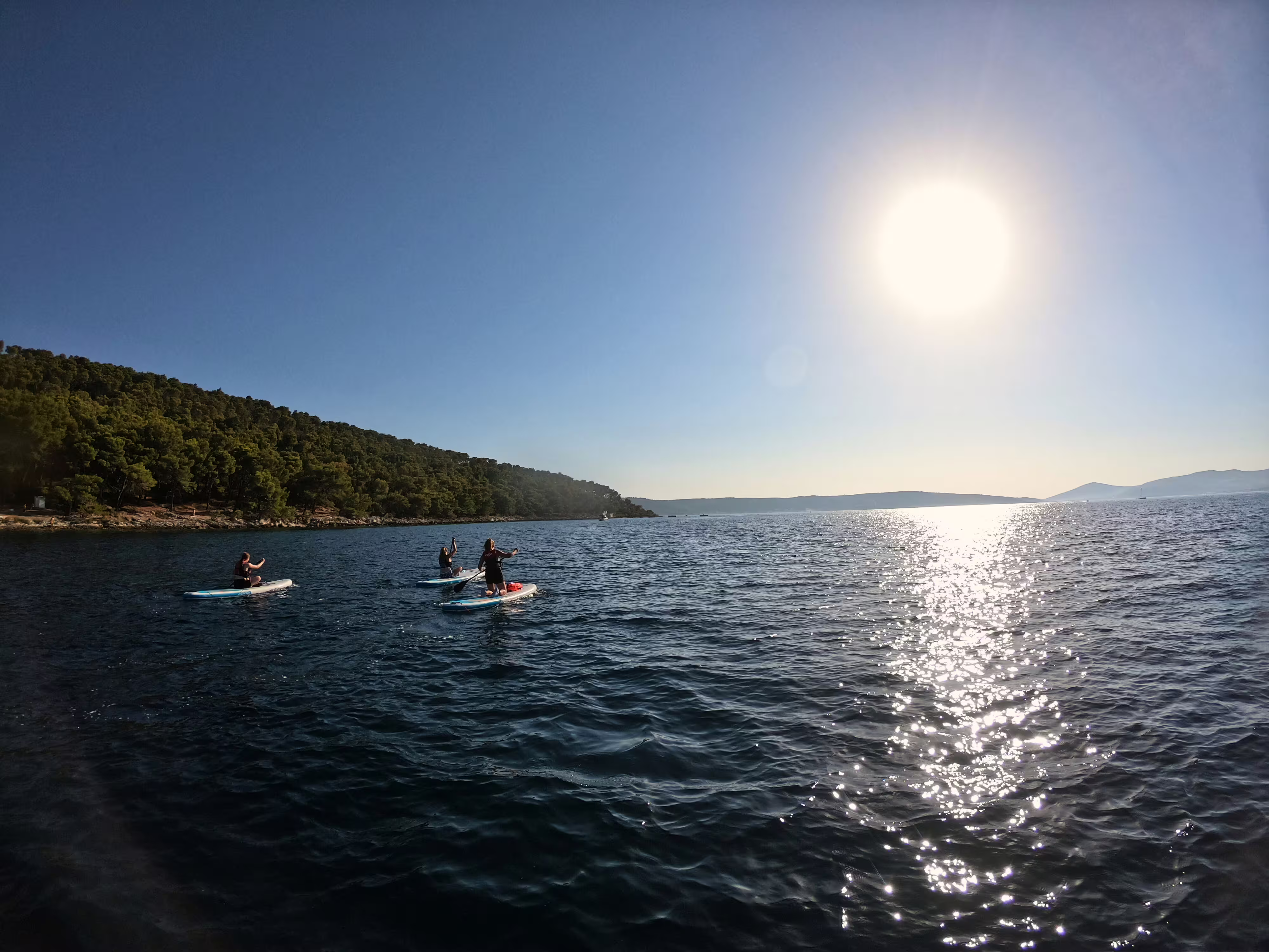 Small group on a morning stand up paddle tour in Split, gliding past a pine-covered coast on the Adriatic