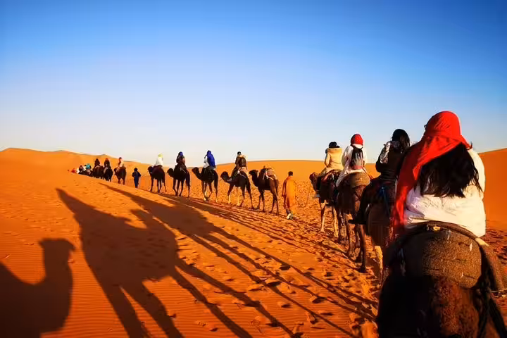 Camel caravan trekking across Sahara dunes at sunset, key experience on Morocco 12 days 11 night desert tour Agadir