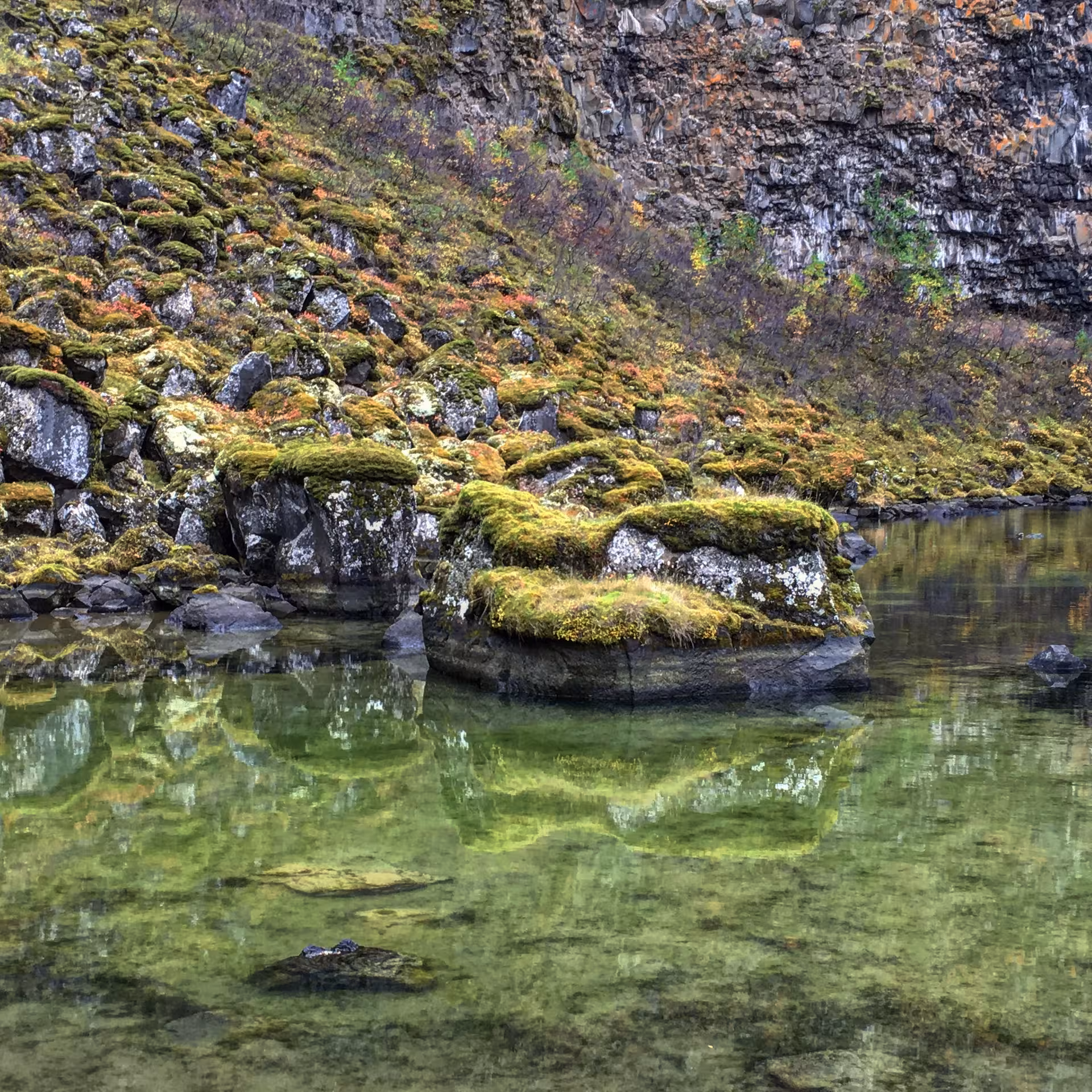 Serene moss-covered rocks reflecting in a clear green pool, perfect for a tailor-made photography day tour.