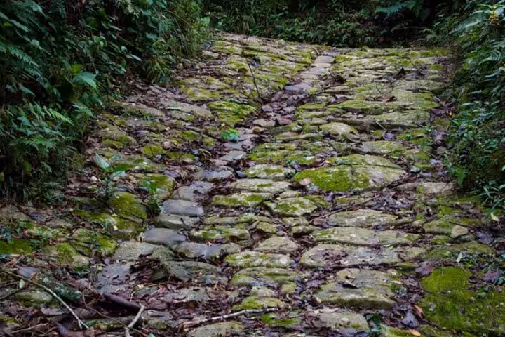 Moss-covered rocky path winding through a lush forest, perfect for a cultural hiking adventure experience.