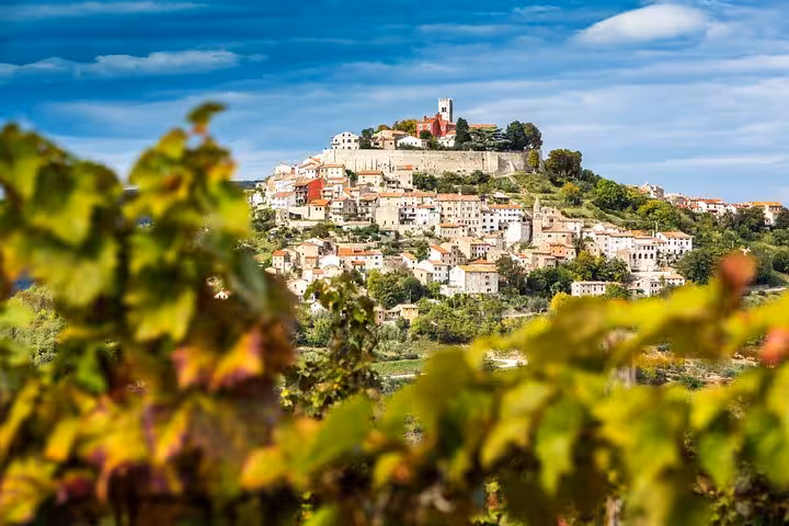 Hilltop medieval Motovun in Istria framed by vineyards, featured on Croatia Slovenia Bosnia Montenegro tour